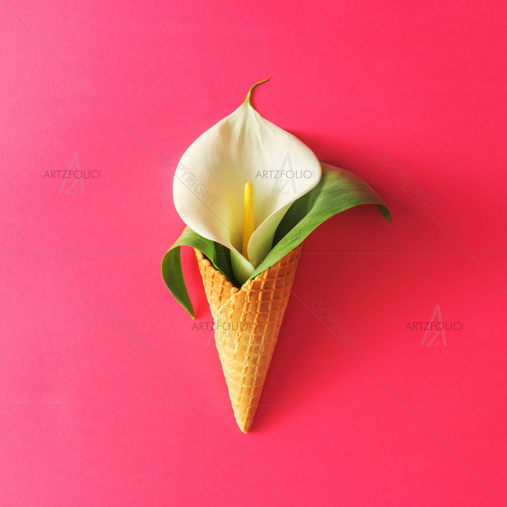 Minimal Ice Cream & Flowers D1 — custom-size art design 5011734