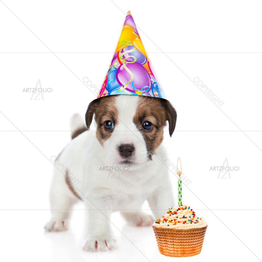 Puppy in Birthday Hat and Cake — custom-size art design 5011842