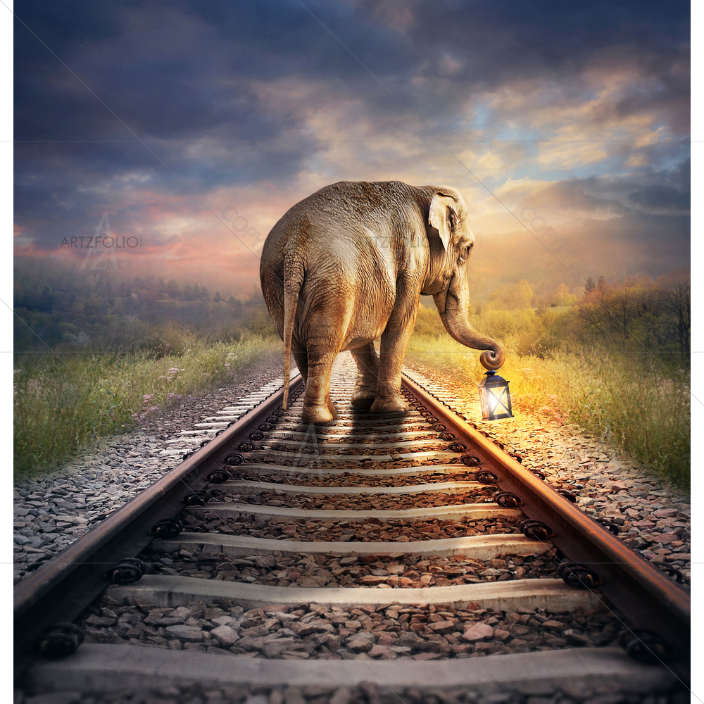 Elephant With Lantern — custom-size art design 5011880