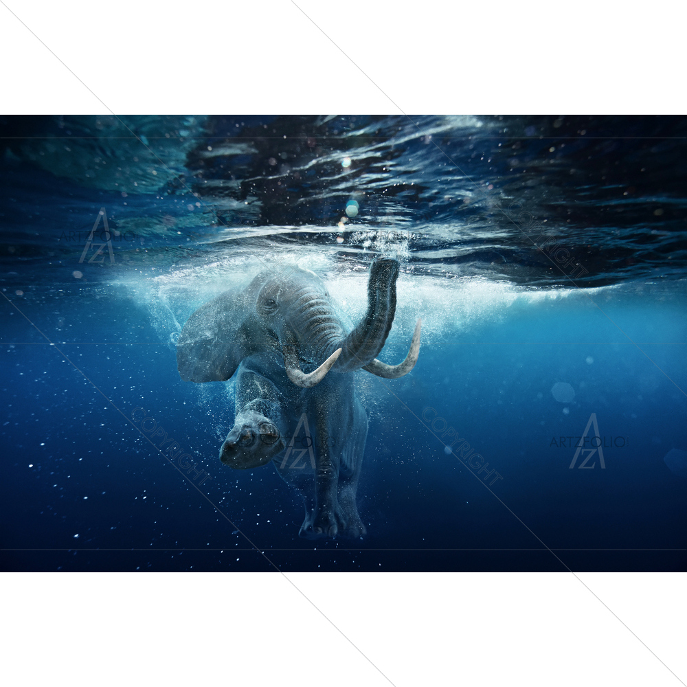 Swimming African Elephant — African custom art by ArtzFolio