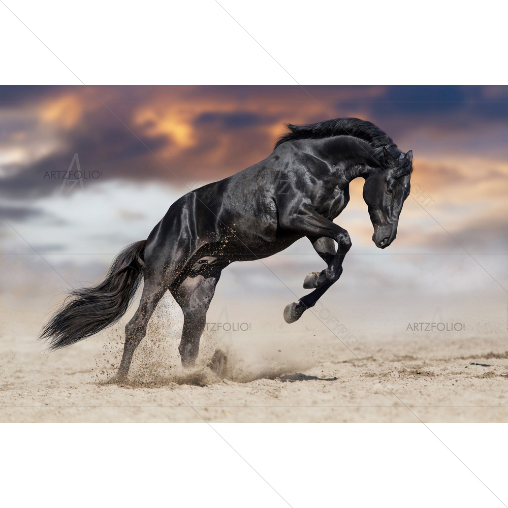 Black Stallion in Desert — Animals custom art by ArtzFolio
