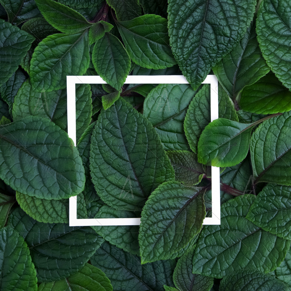 Green Leaves and Frame — custom-size art design 5011942
