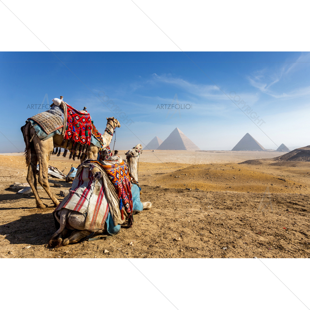 Pyramids of Giza, Egypt D2 — custom-size art design 5011960