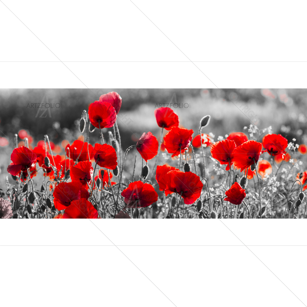 Red Poppies — custom-size art design 5011995