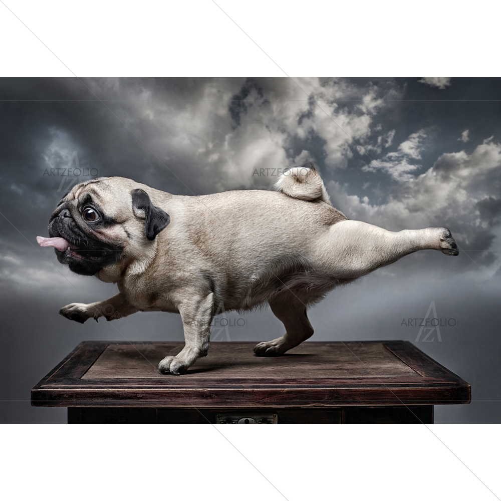 Dog Pug — Abstract custom art by ArtzFolio