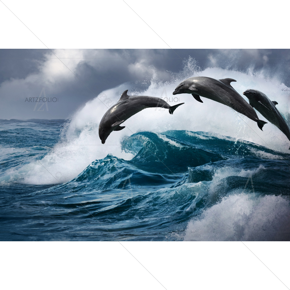 Dolphin Jumping From Ocean — custom-size art design 5012088