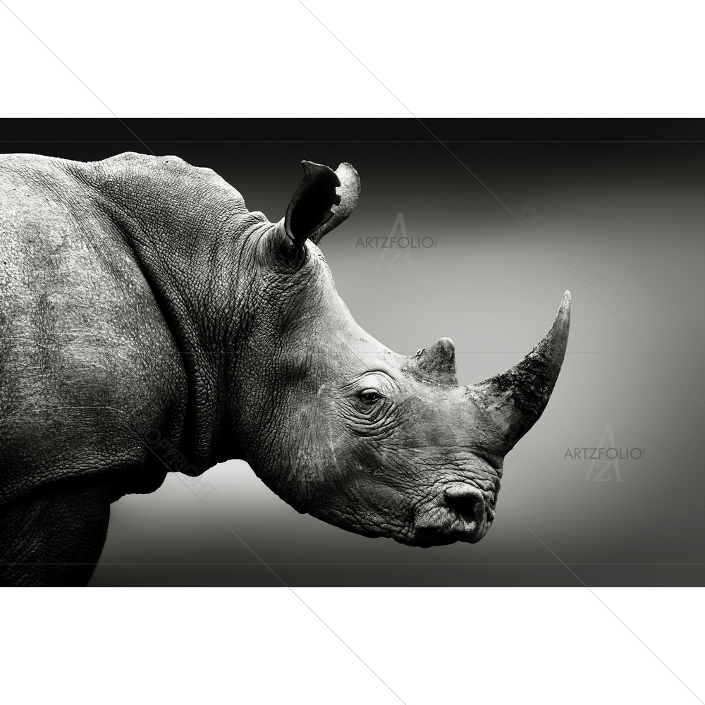 Black & White Rhinoceros — custom-size art design 5012089