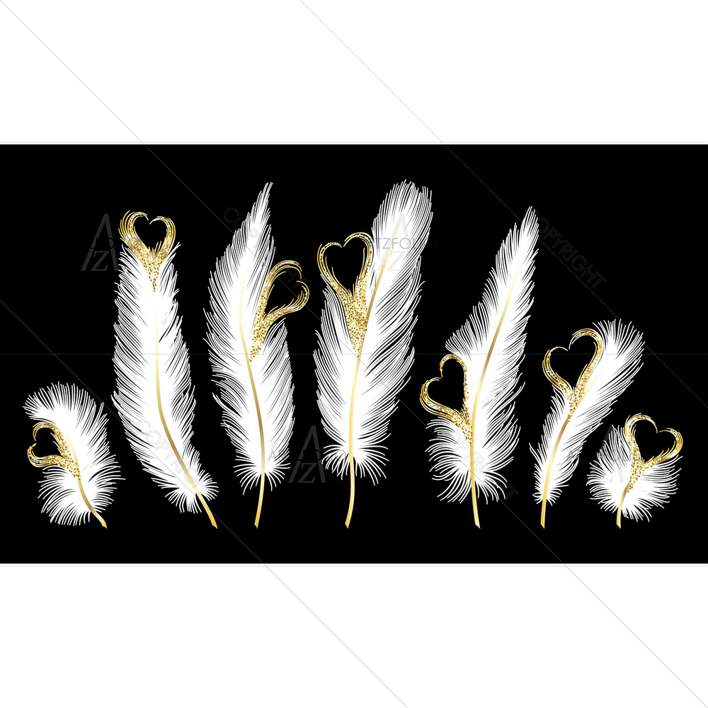 Isolated Feathers with Hearts — custom-size art design 5012128