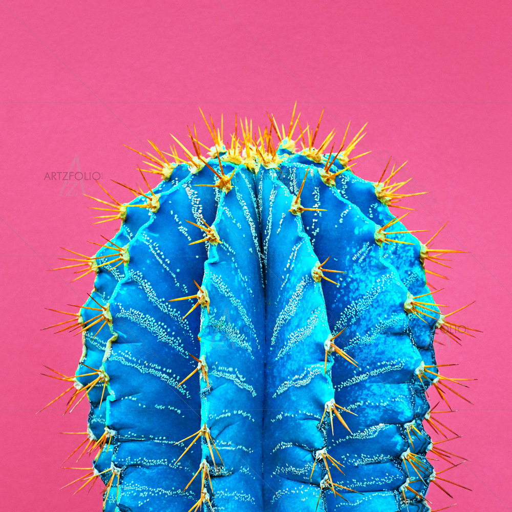 Still Life Portrait Cactus — Cities custom art by ArtzFolio