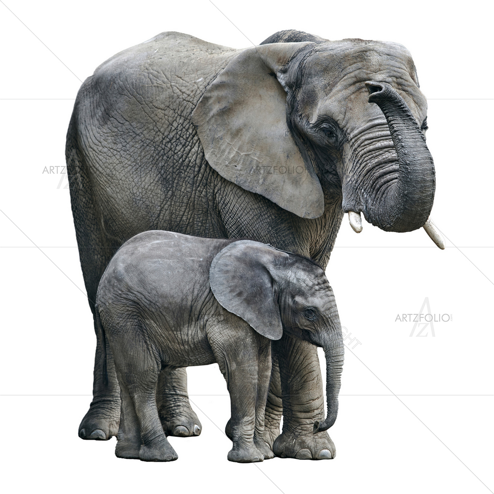 Mother Elephant and Her Baby — African custom art by ArtzFolio