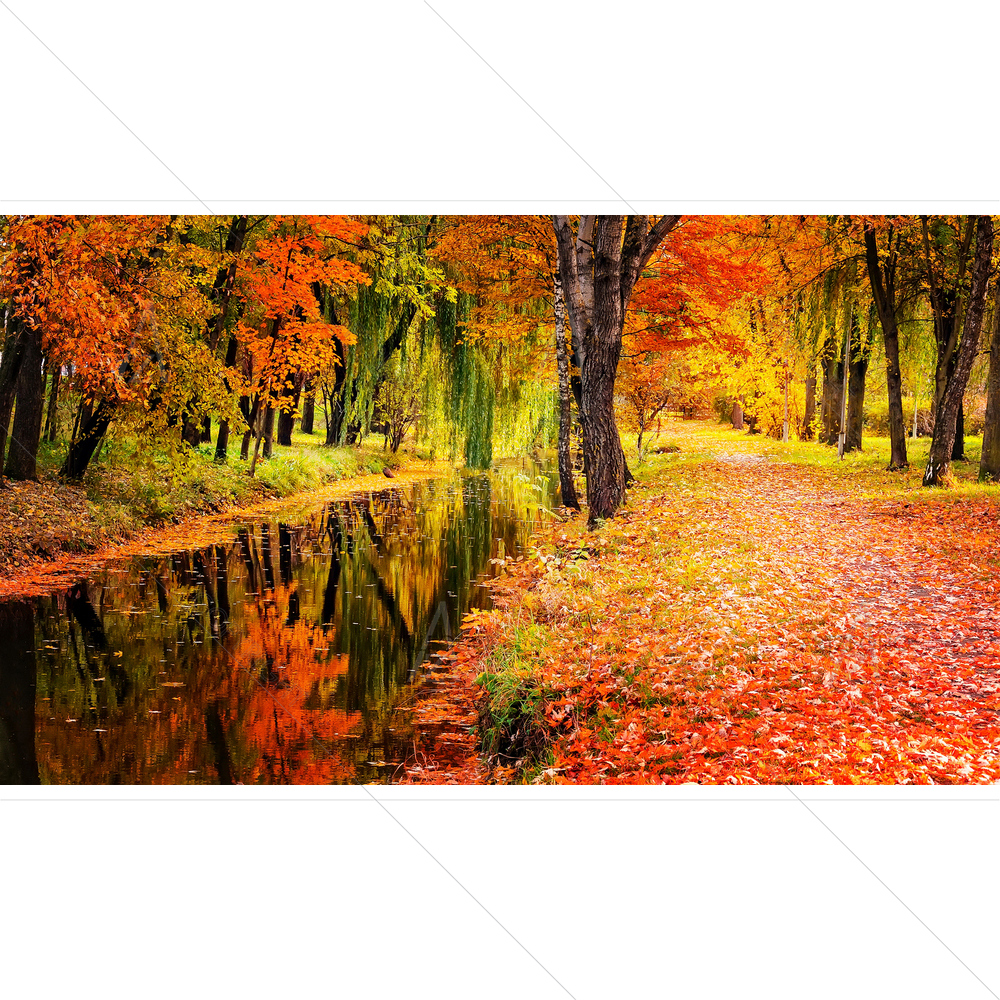 Autumn Landscape D9 — custom-size art design 5012229