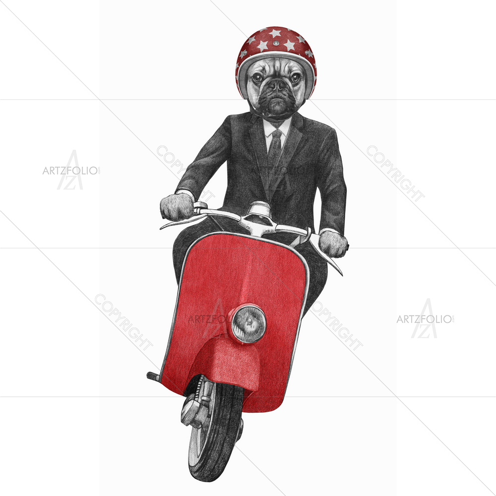French Bulldog Rides Scooter — custom-size art design 5012261