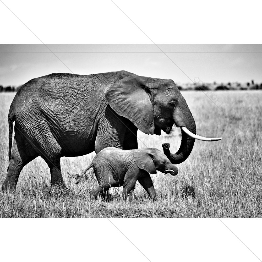 Mother and Baby Elephant — custom-size art design 5012266