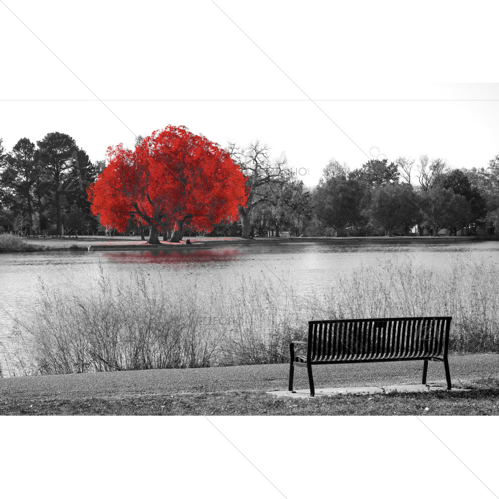 Red Tree with Empty Bench Overlooking Water — Devotional custom art by ArtzFolio