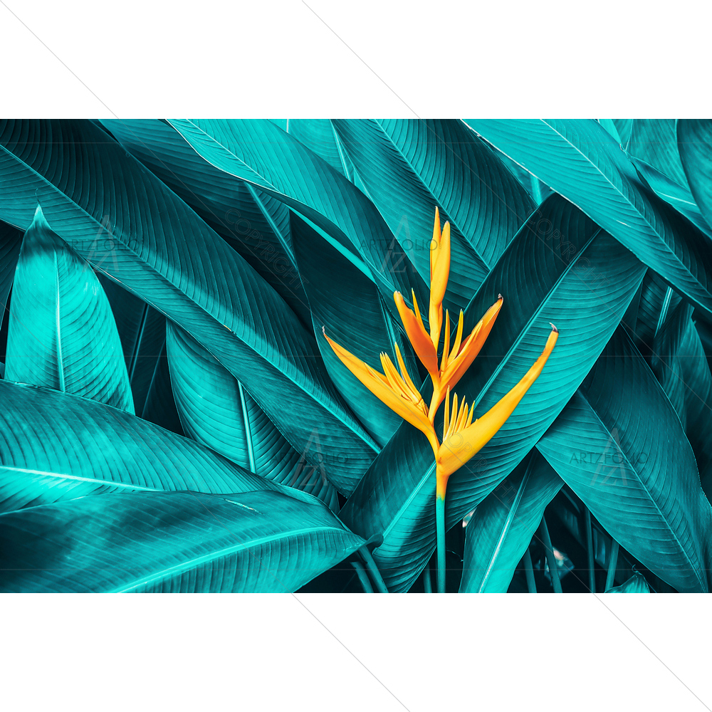 Flower on Tropical Foliage — custom-size art design 5012289