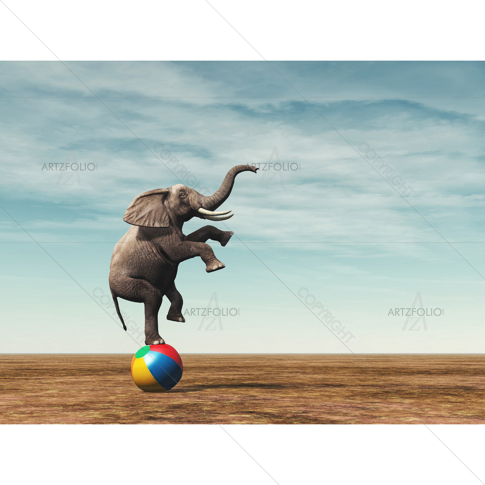 Elephant Balancing on Beach Ball — custom-size art design 5012311