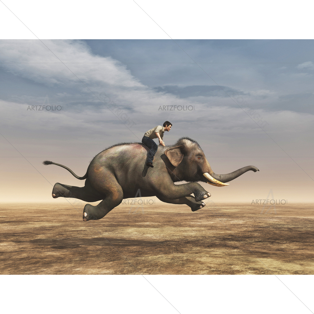 Man Riding an Elephant — custom-size art design 5012312