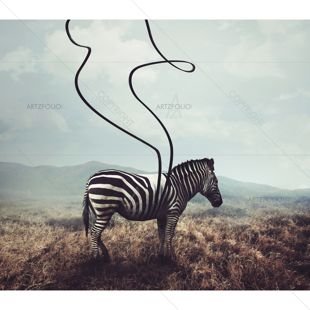Zebra and its Two Black Stripes — Abstract custom art by ArtzFolio
