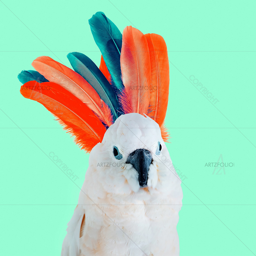 Parrot and Feathers Image — Abstract custom art by ArtzFolio