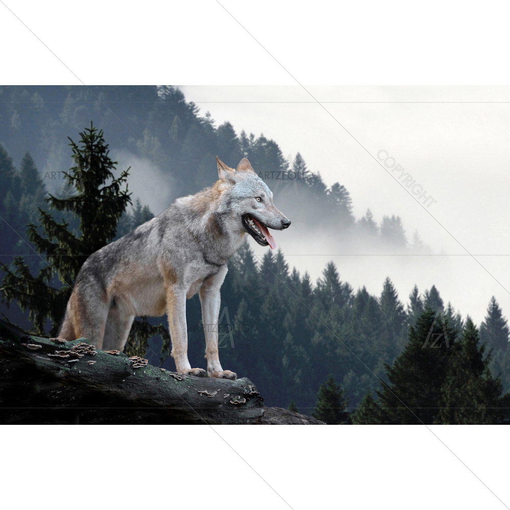 Timber Wolf Hunting — custom-size art design 5012362