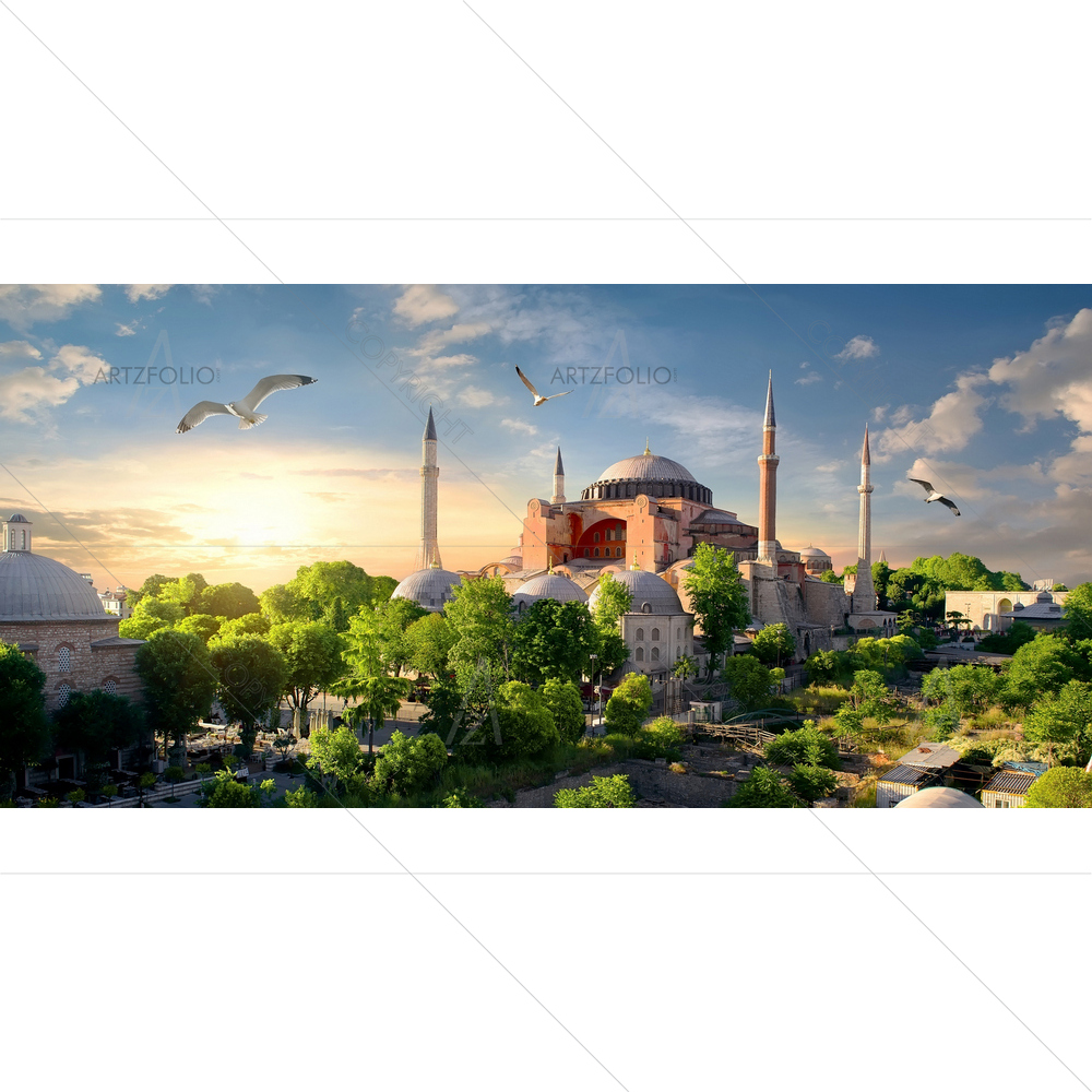 Bird and Hagia Sophia, Istanbul, Turkey — Devotional custom art by ArtzFolio