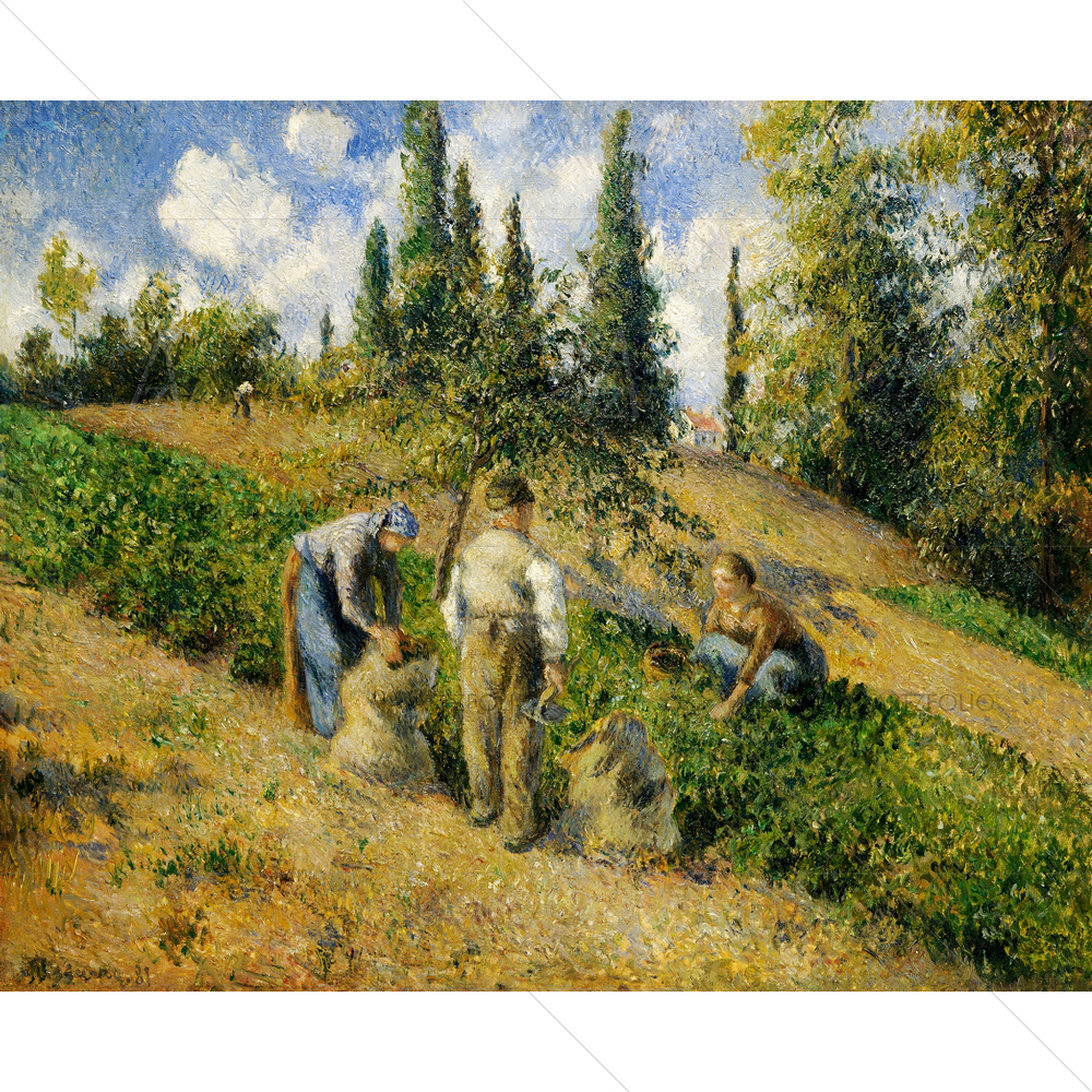 The Harvest, Camille Pissarro, 1881 — custom-size art design 5012433
