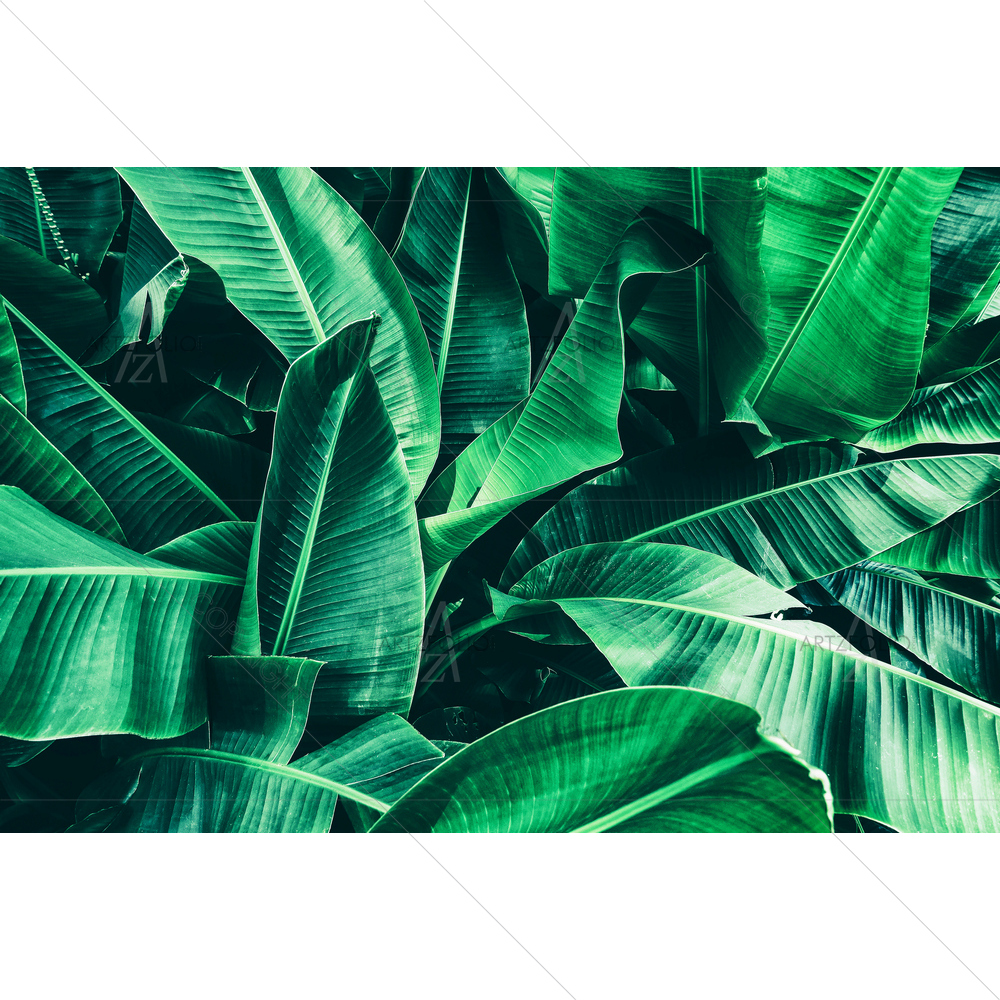 Tropical Banana Leaves — custom-size art design 5012490