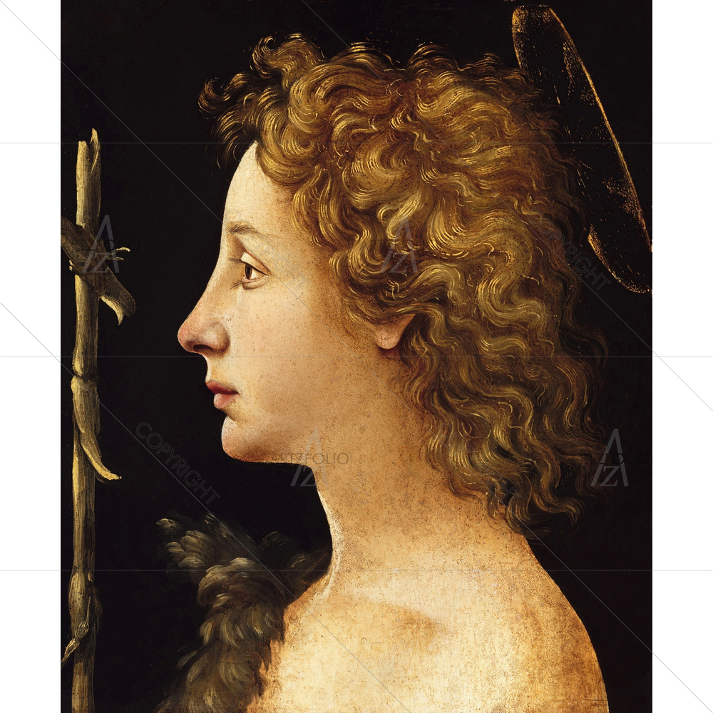 The Young St. John The Baptist, Piero Di Cosimo, 1480-1522 — Devotional custom art by ArtzFolio