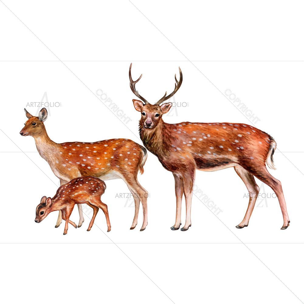 Deer Family — custom-size art design 5012708