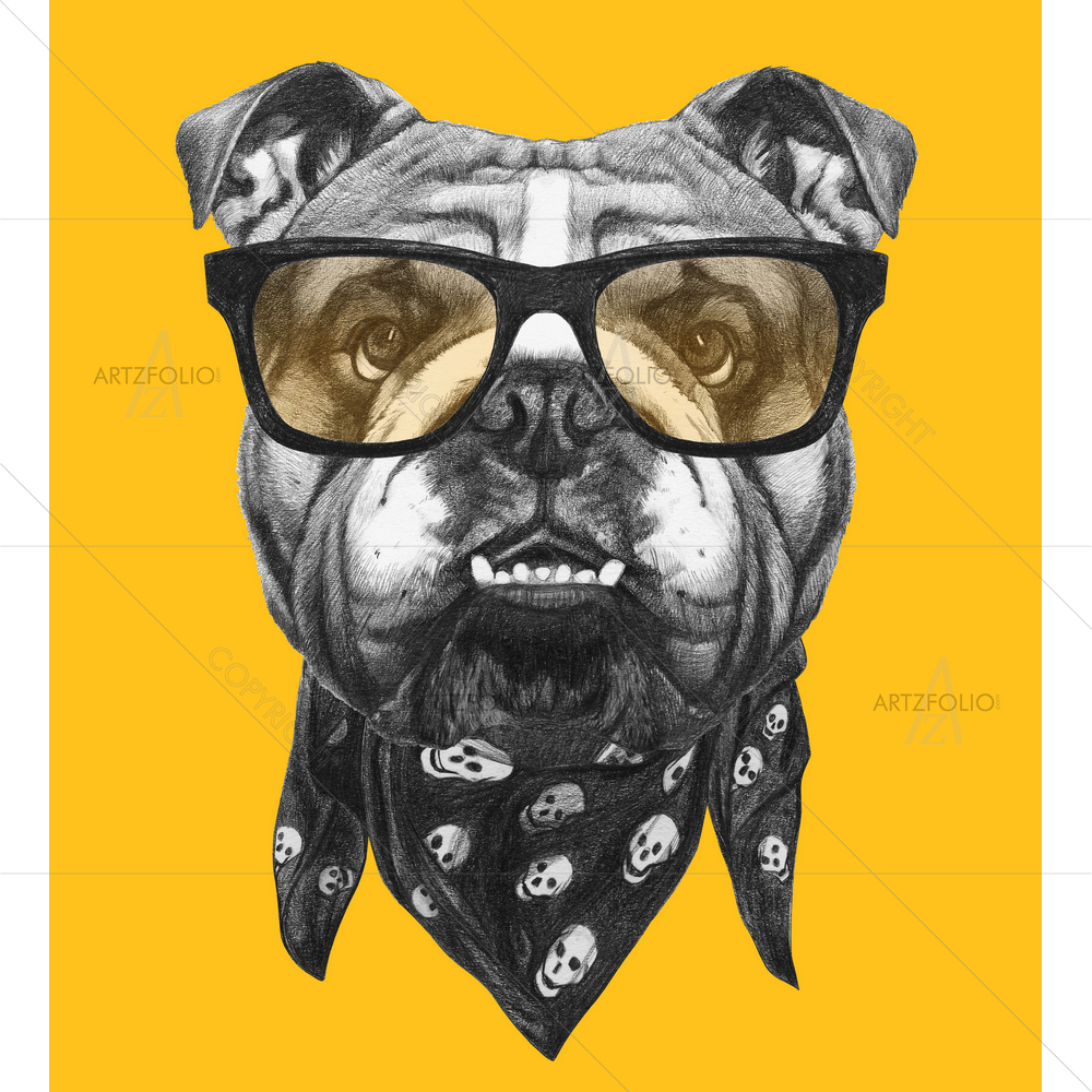 English Bulldog with Scarf and Glasses — custom-size art design 5012762