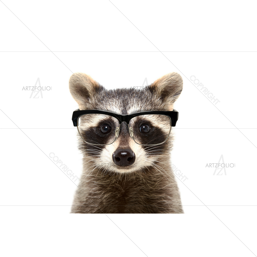 Raccoon Wearing Glasses — Animals custom art by ArtzFolio