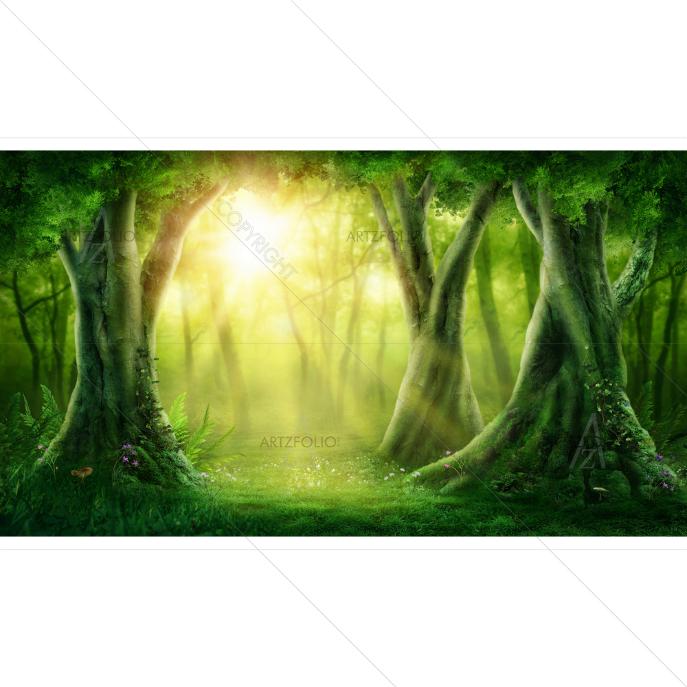 Dark Magic Forest — custom-size art design 5012778