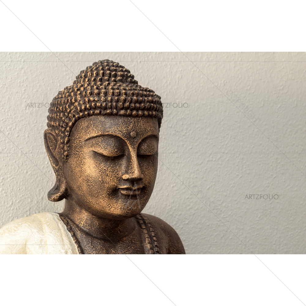 Siddhartha Portrait — custom-size art design 5012794