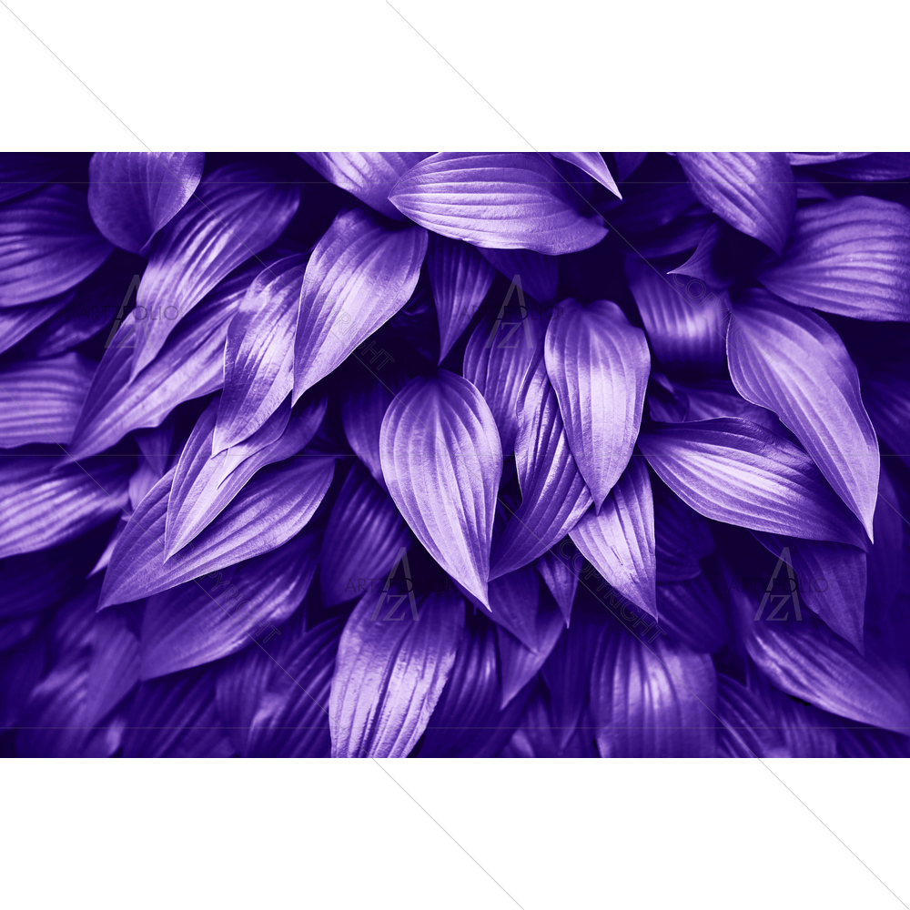 Fresh Green Leaves — custom-size art design 5012799