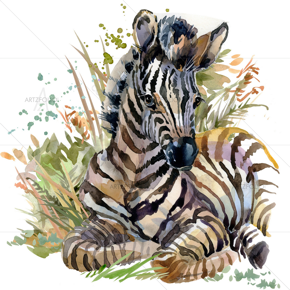 Zebra Cub — custom-size art design 5012833