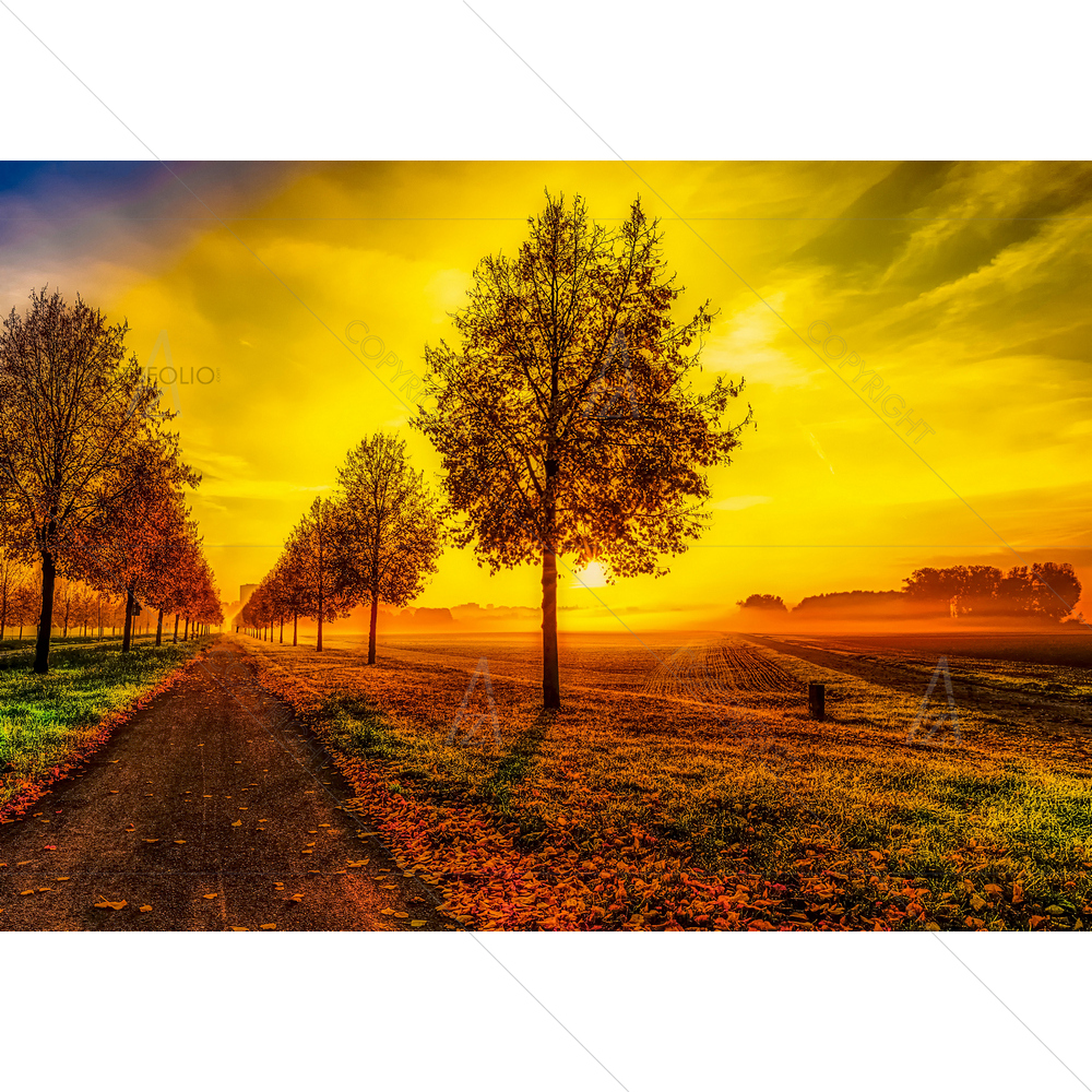 Colorful Autumn Sunrise on Alley — Fantasy custom art by ArtzFolio