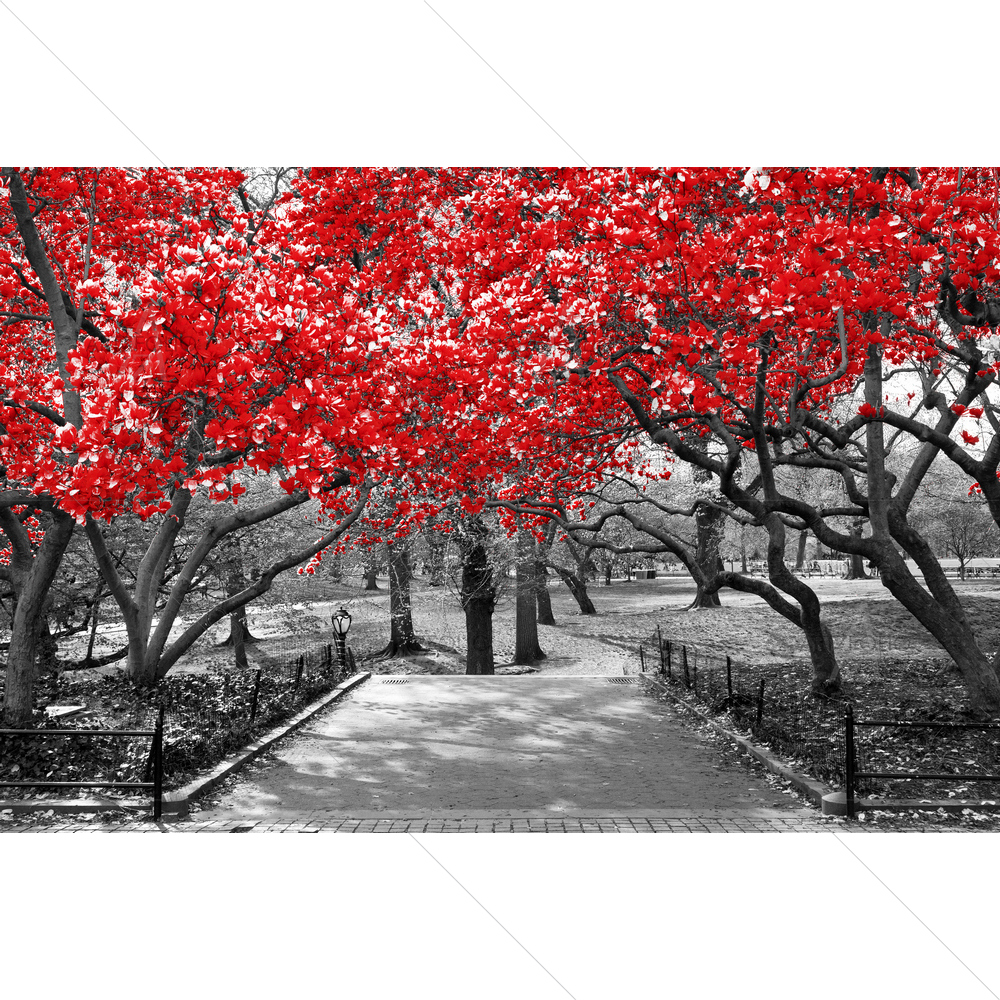 Red Trees Canopy, New York City — custom-size art design 5012921