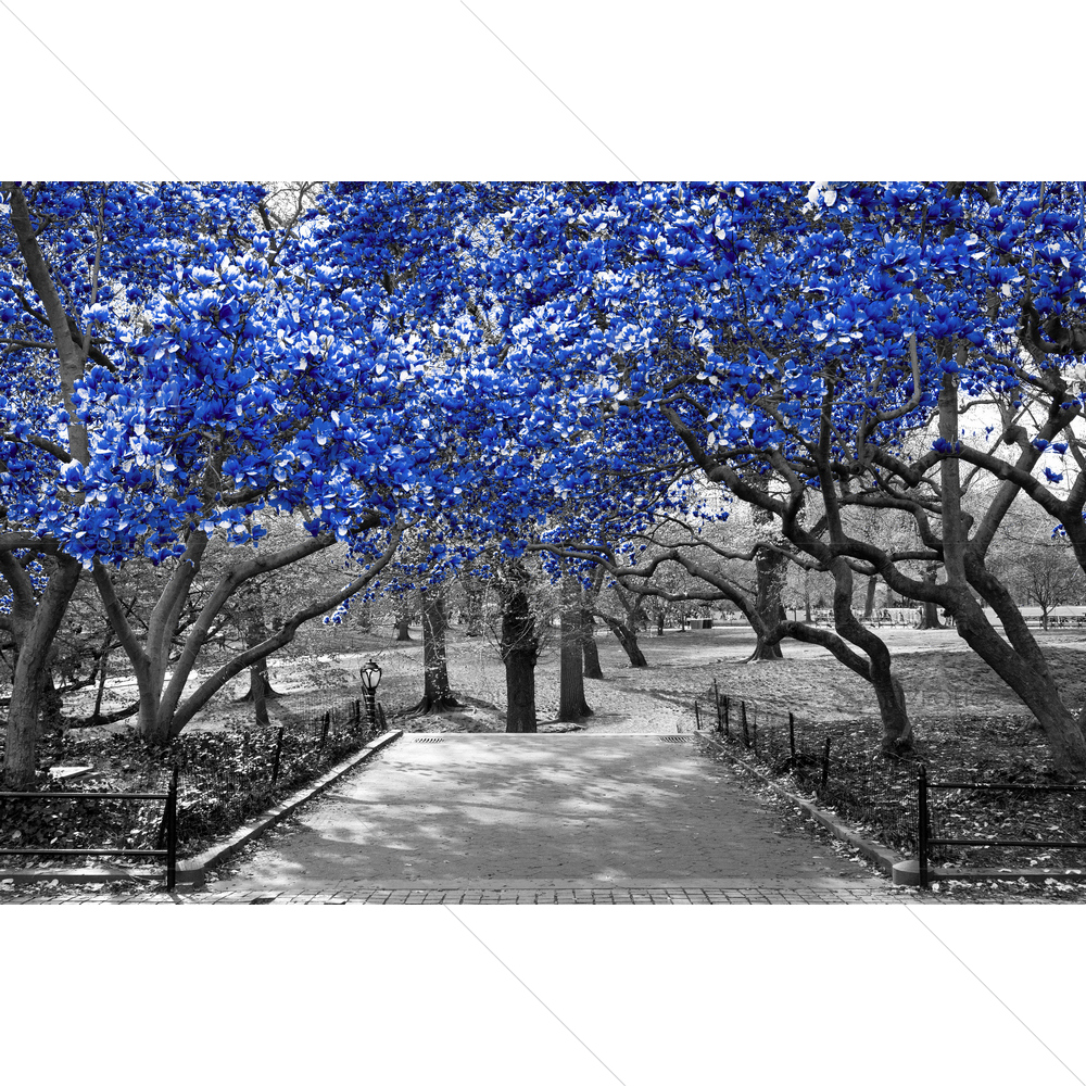 Blue Trees Canopy, New York City — custom-size art design 5012922