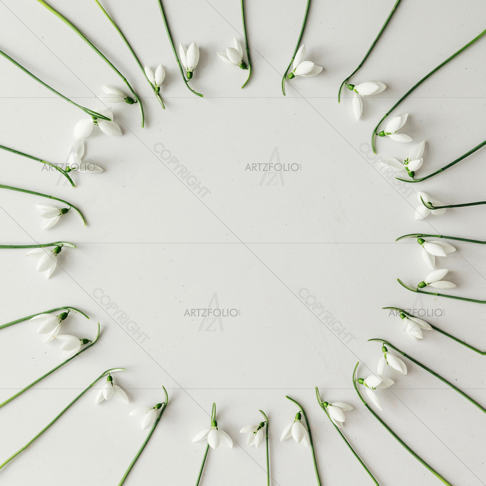 Snowdrop Flowers — Botanical custom art by ArtzFolio