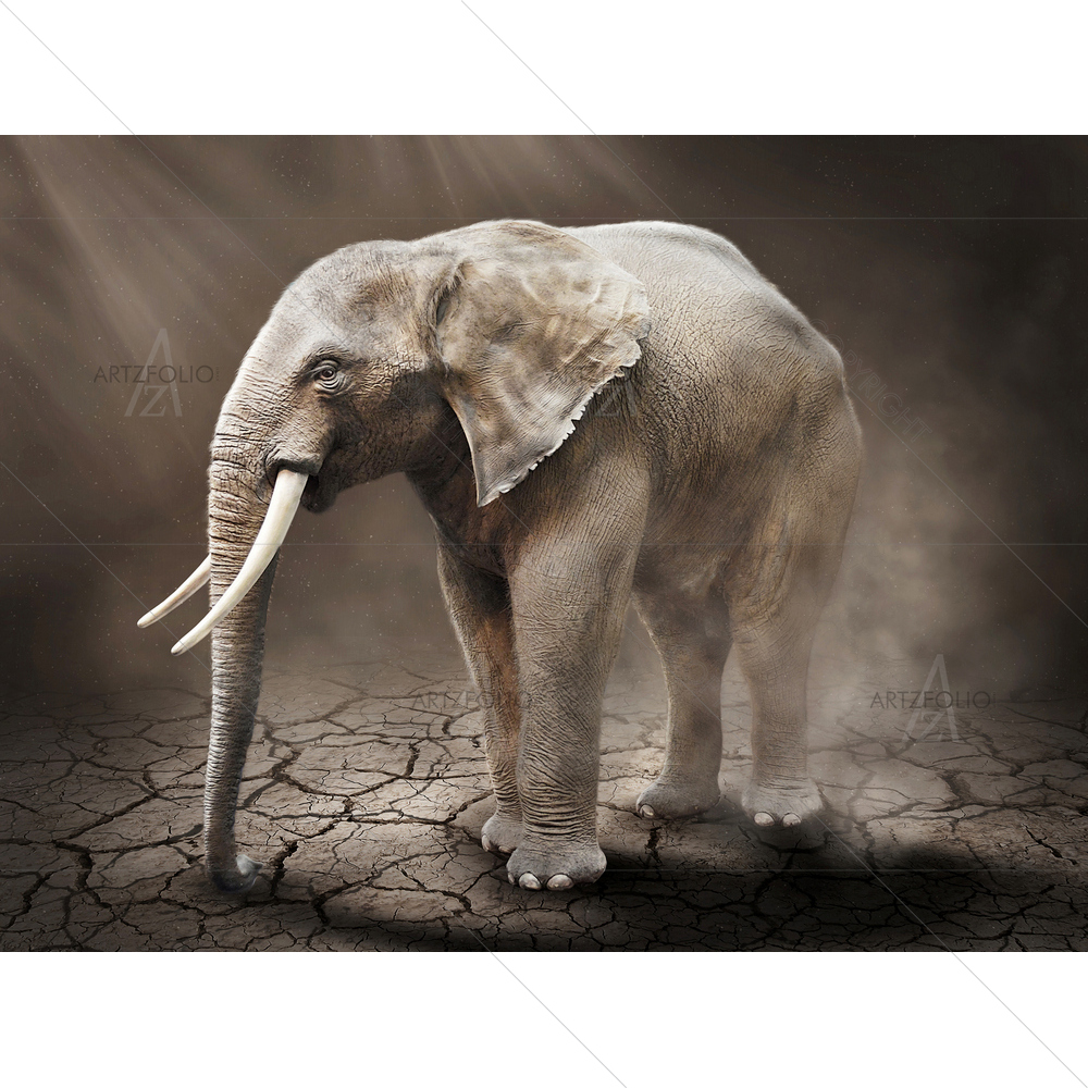 Grunge Elephant — custom-size art design 5012980