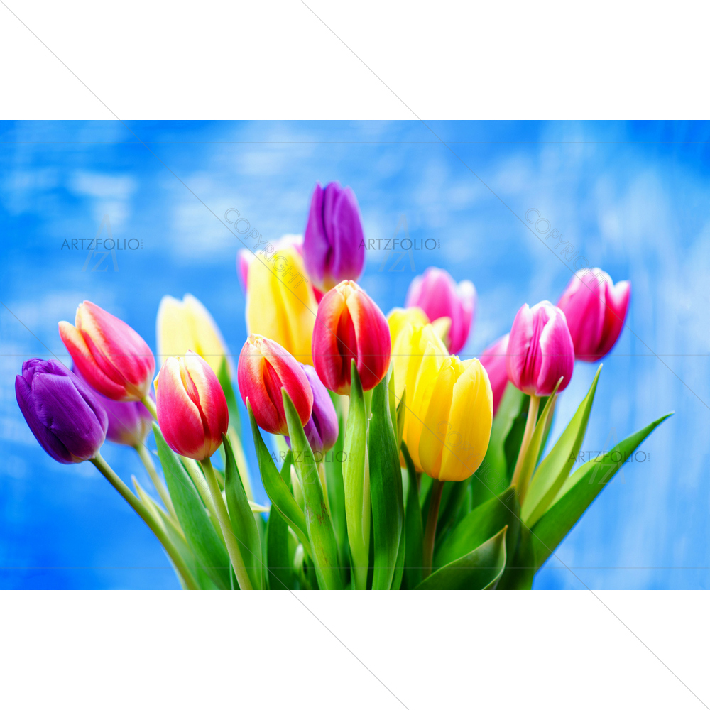 Tulip Flowers D4 — Botanical custom art by ArtzFolio