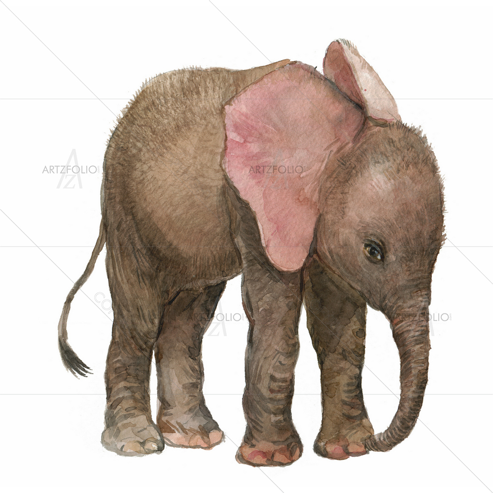Watercolor Baby Elephant — custom-size art design 5013008