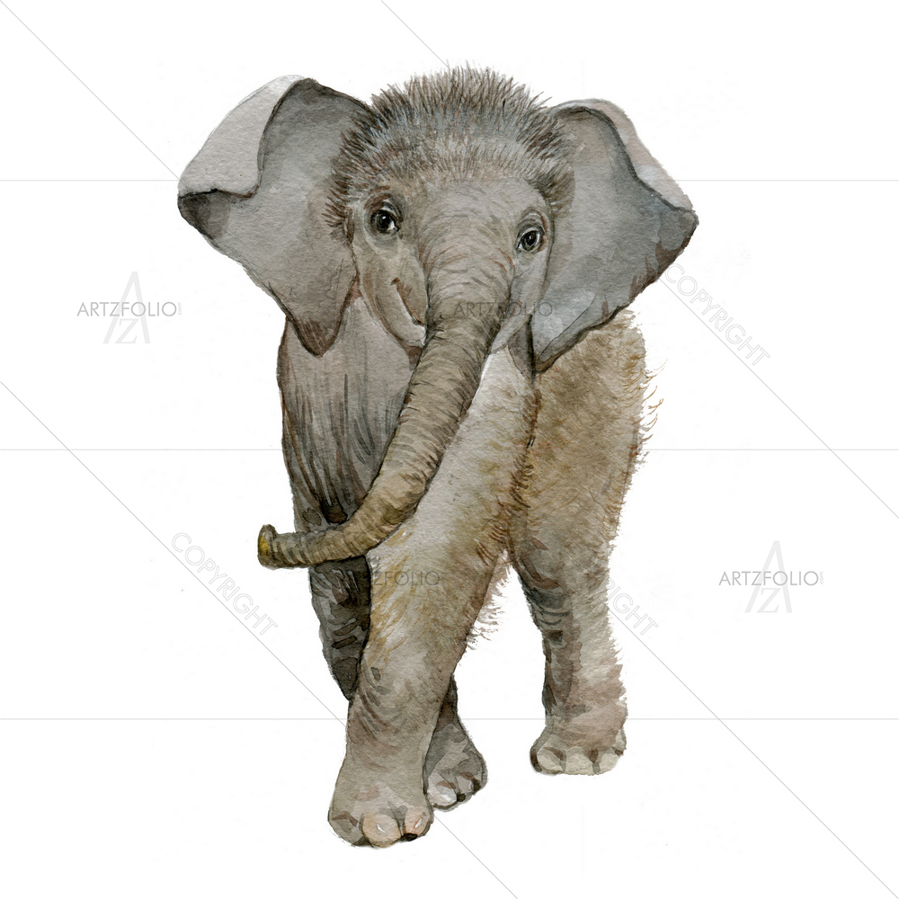 Baby Elephant D5 — custom-size art design 5013009