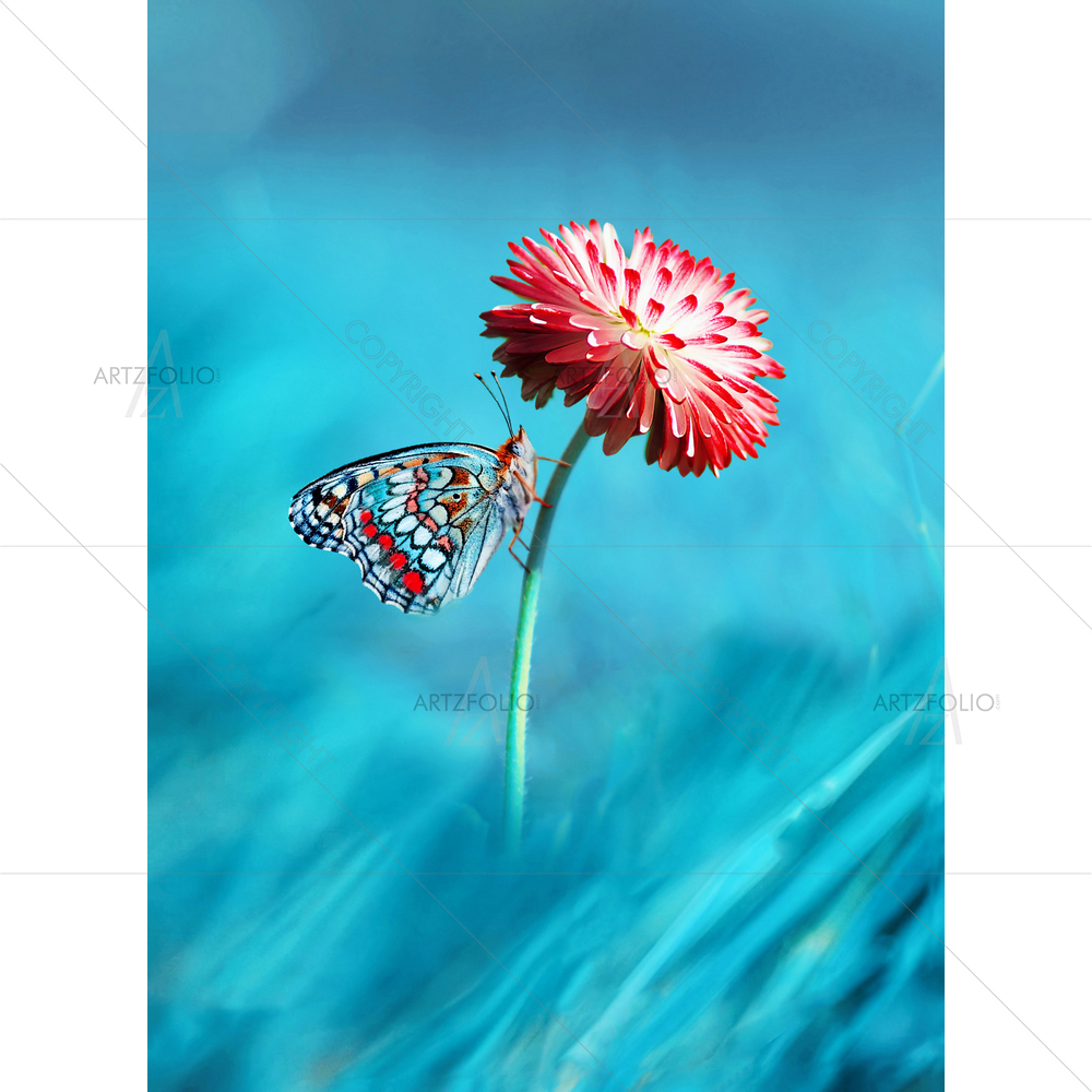 Butterfly on Flower — custom-size art design 5013010