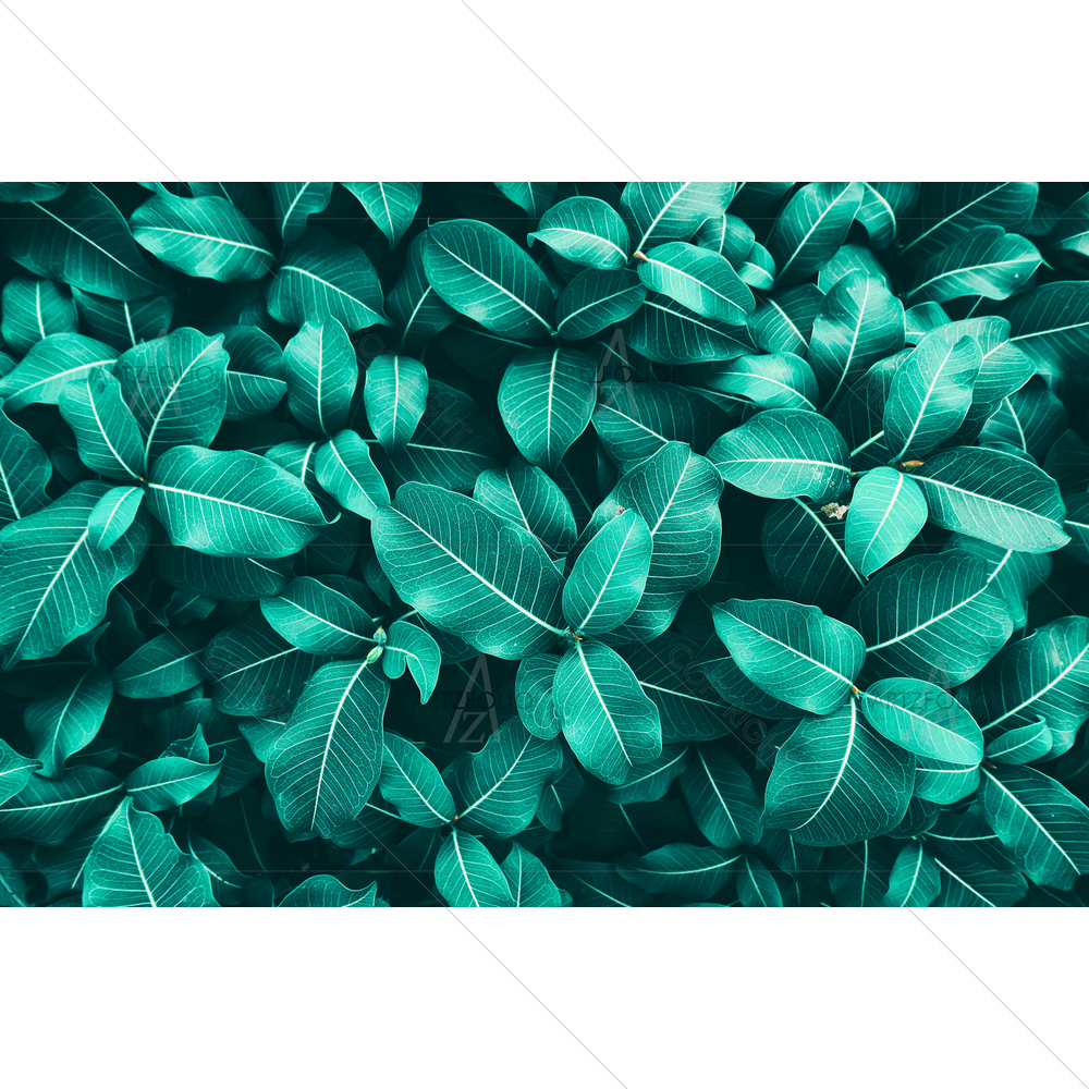 Blue-Tones Leaves — custom-size art design 5013034