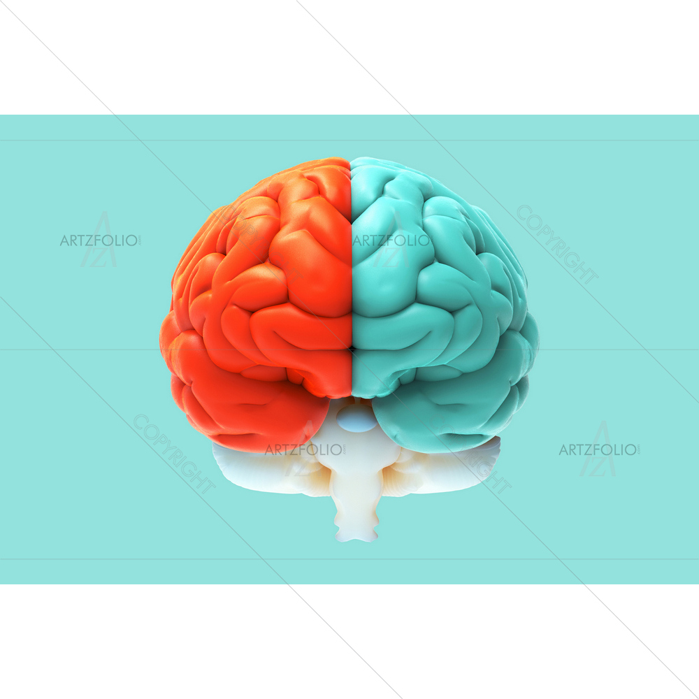3D Brain Rendering — custom-size art design 5013068