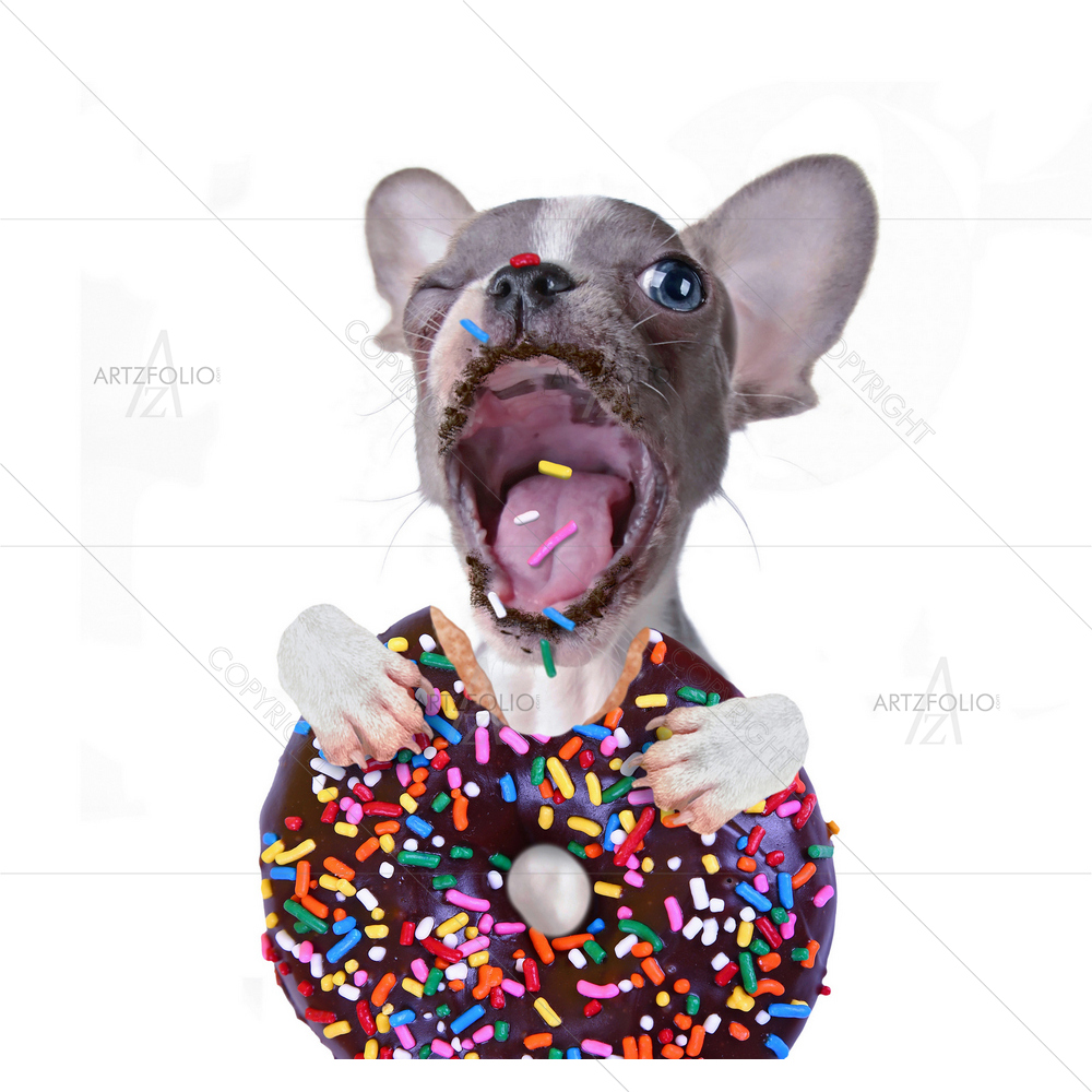 French Bulldog Puppy Taking Giant Bite Of Doughnut — Animals custom art by ArtzFolio