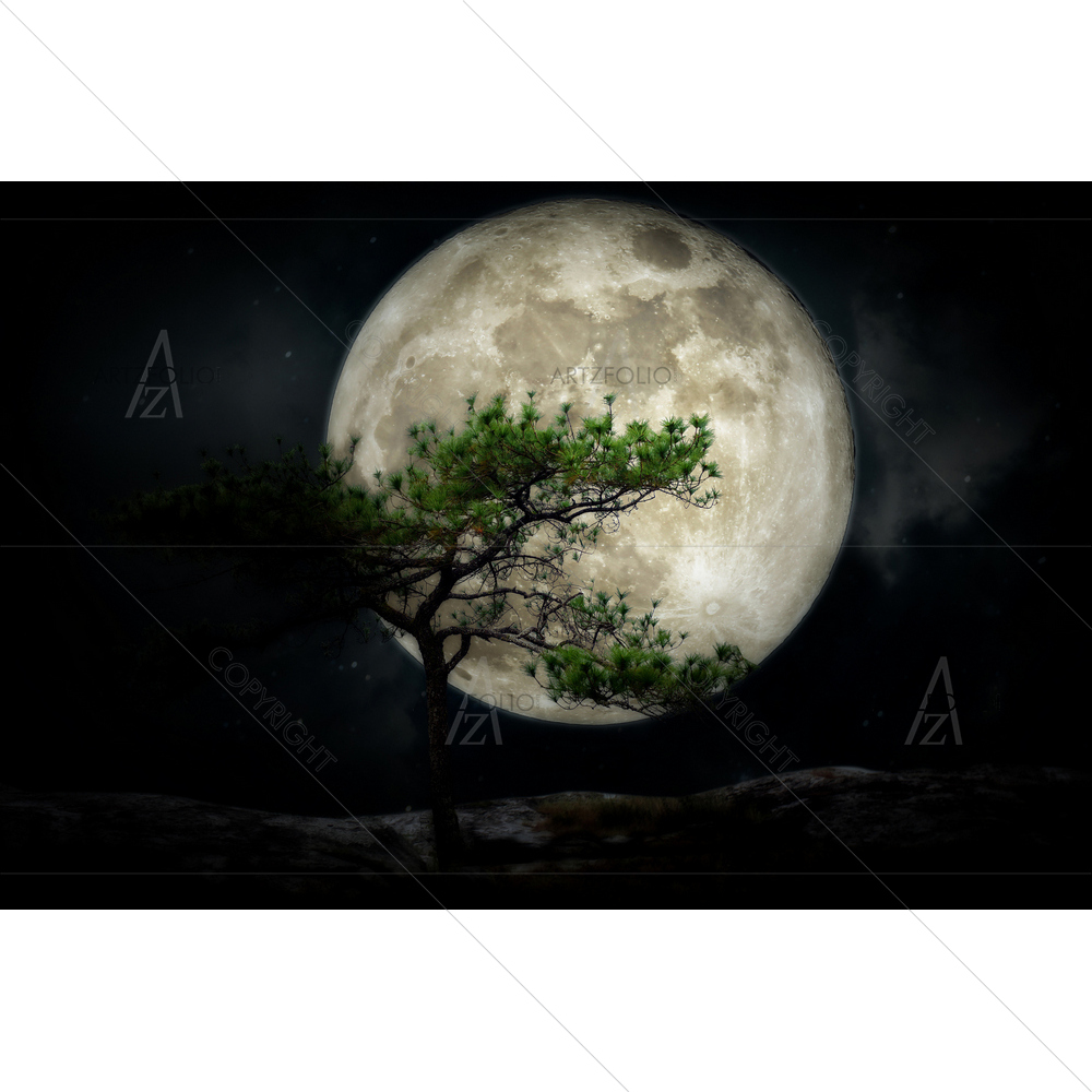 Full Moon Against Pine Tree — custom-size art design 5013105