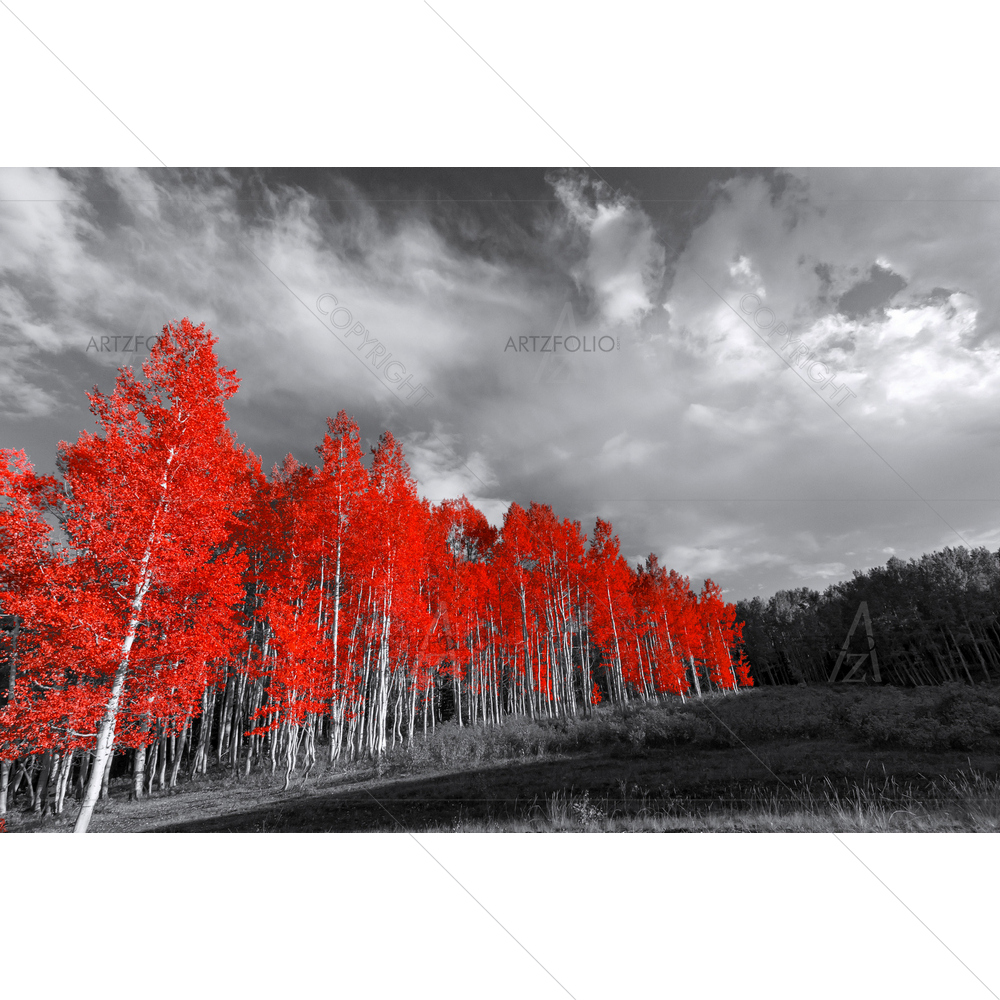 Red Trees Forest — custom-size art design 5013162