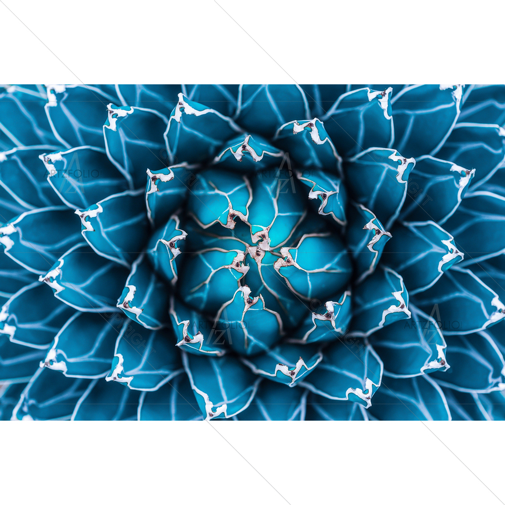 Agave Cactus D1 — Botanical custom art by ArtzFolio